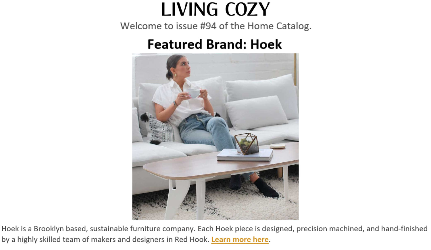 Hoek home has been featured by Living Cozy!